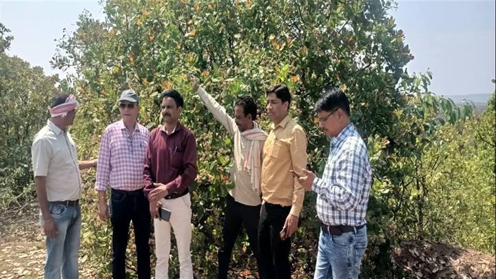 उद्यानिकी कमिश्नर ने जनजातीय क्षेत्र में हाइटेक करेला खेती का किया निरीक्षण